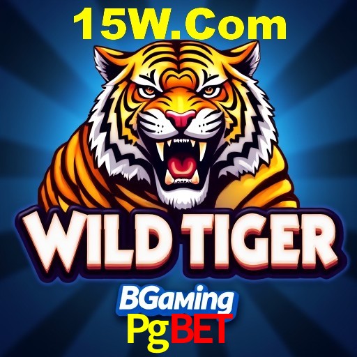 A Emoção da Loteria na Pgbet: Uma Chance de Mudança de Vida