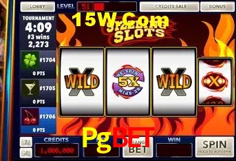 Pgbet Rio de Janeiro - Licenses
